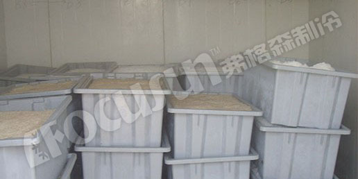 25 tons conainerized flake ice machine with contaierized ice storage--Senegal-3