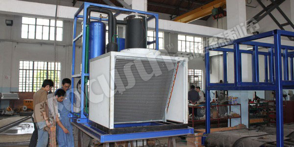 5 tons tube ice machine with 5 tons ice bin--Singapore-4