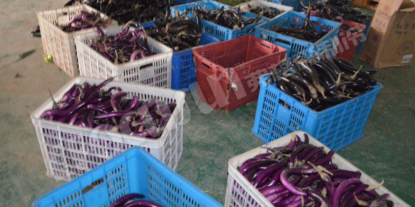 vacuum pre-cooling machine--China-1