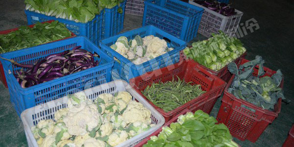 vacuum pre-cooling machine--China-3